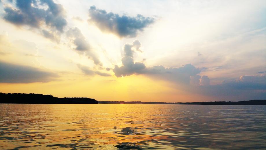 Percy Priest Lake offers all the essentials needed for a great day on the lake