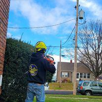 Images Bully's Tree Service