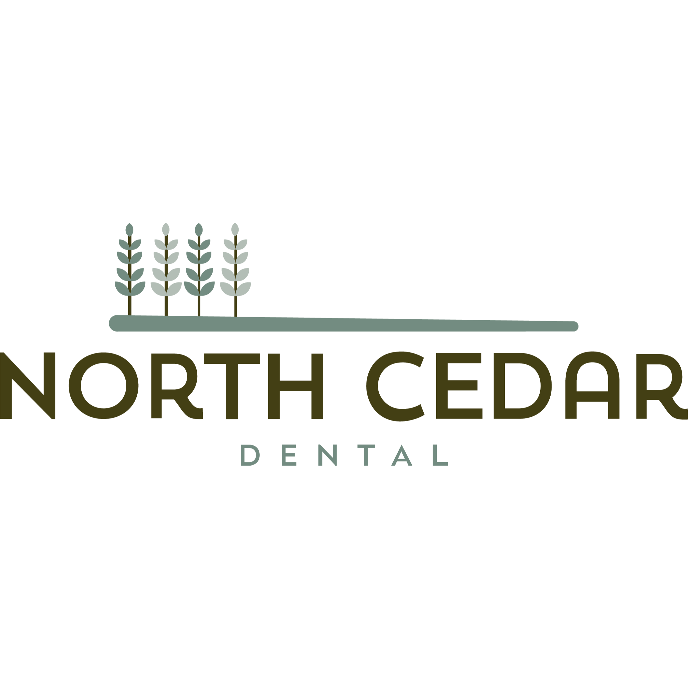 North Cedar Dental