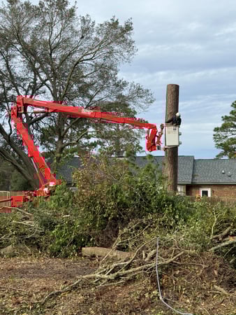 Images Magana Tree Service