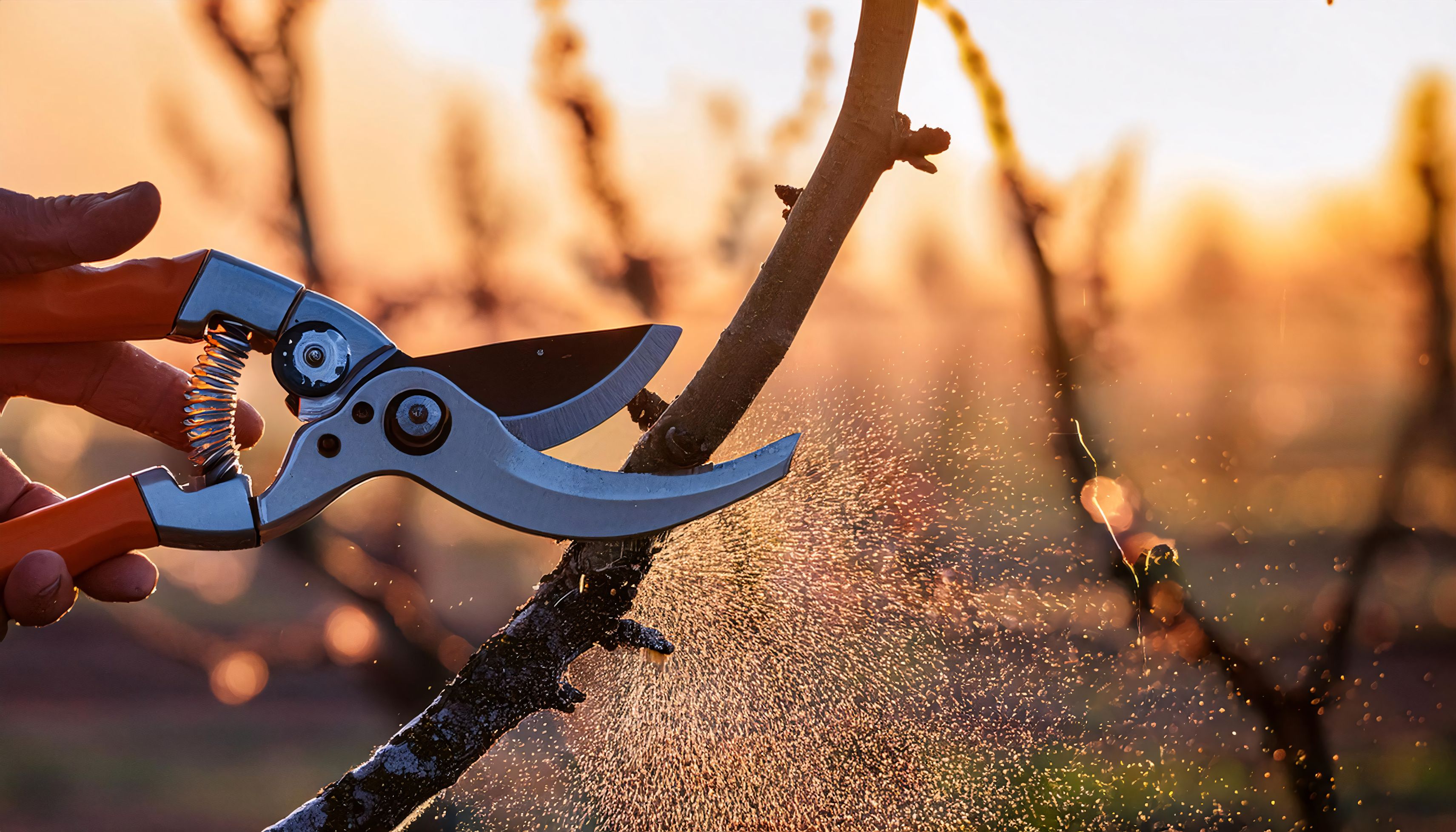 Bilder KRASS-Team Facility GmbH