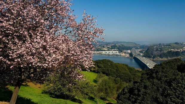 Images Summit at Sausalito