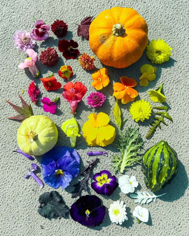 Images Strange's Florists Greenhouses & Garden Centers