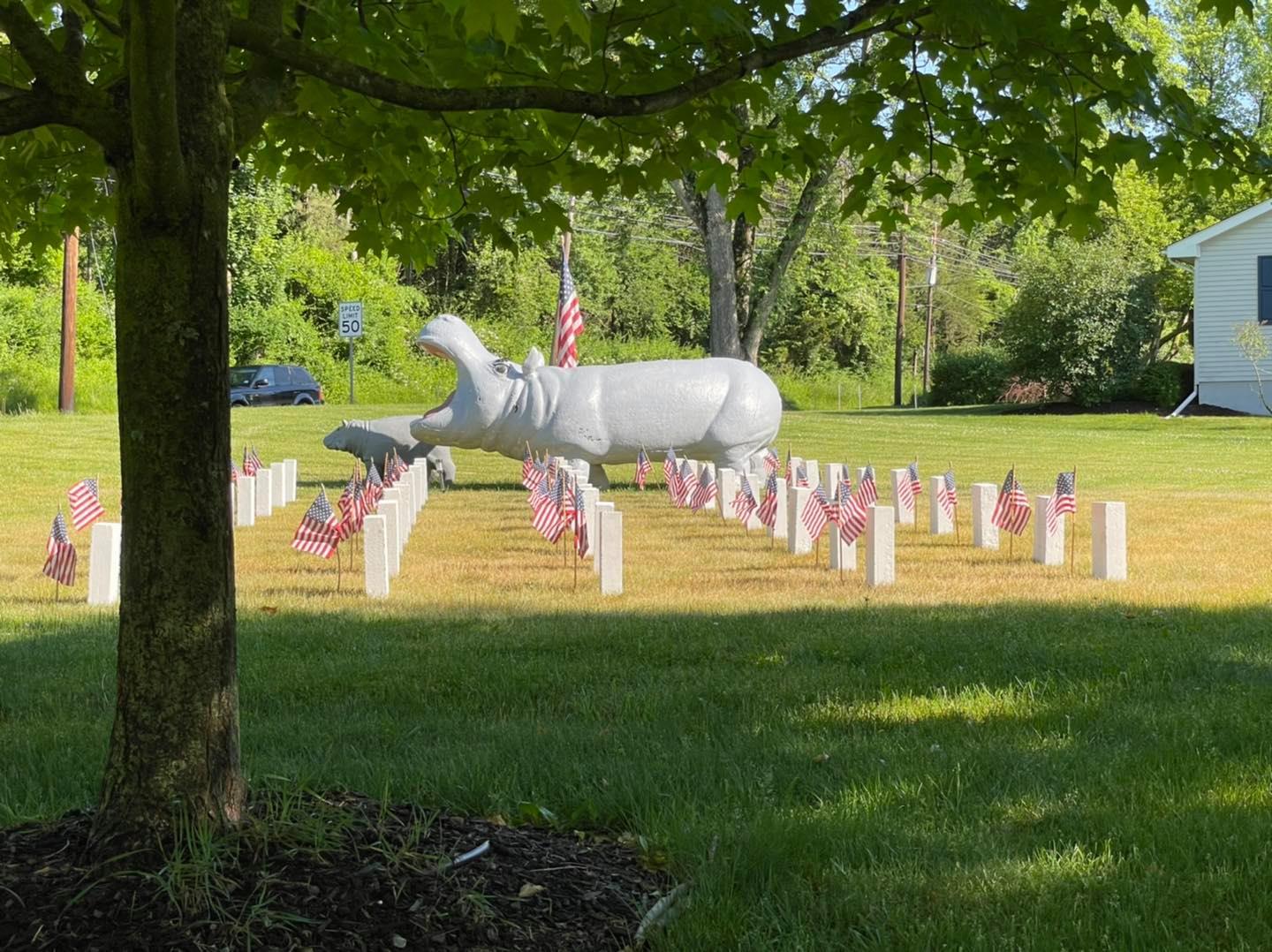 Oldwick Animal Hospital