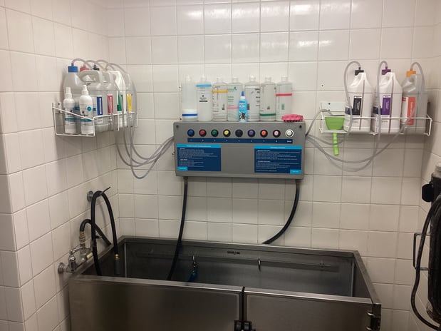 Images Petco Grooming