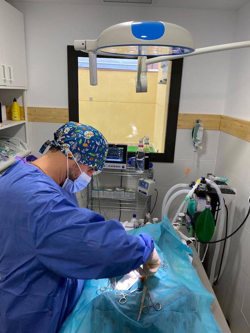 Images Mascota Avenue - Centro Veterinario y Peluqueria Canina/Felina Poblenou