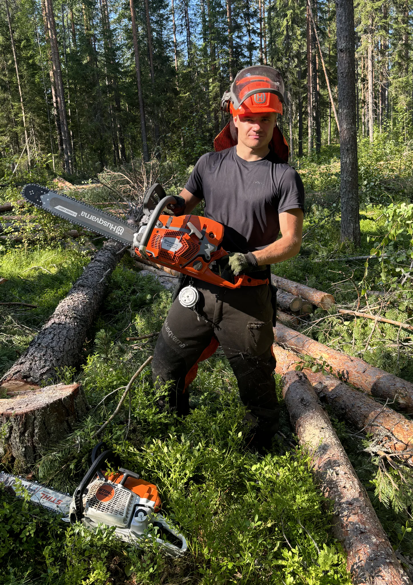 Images SisuForest Oy