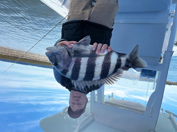 Images Eastern Tailz Outfitters