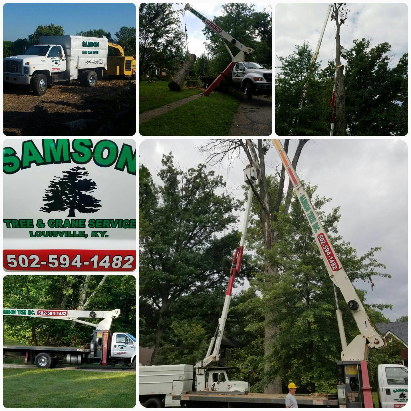 Samson Tree Service - Fairdale, KY 40118 - (502)594-1482 | ShowMeLocal.com