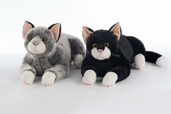 Altera Vita GmbH & Co. KG, In der Unteren Rombach 12 in Heidelberg