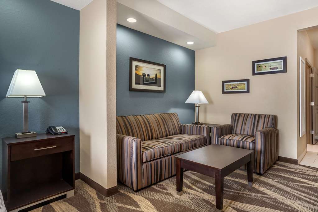 ADA King Suite