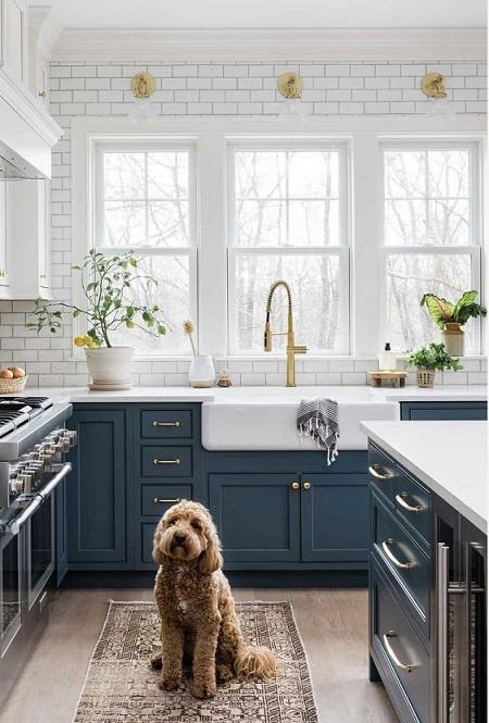 We at Kitchen Tune-Up Savannah Brunswick are dog gone sure of this blue kitchen #trend. Call us toda Kitchen Tune-Up Savannah Brunswick Savannah (912)424-8907