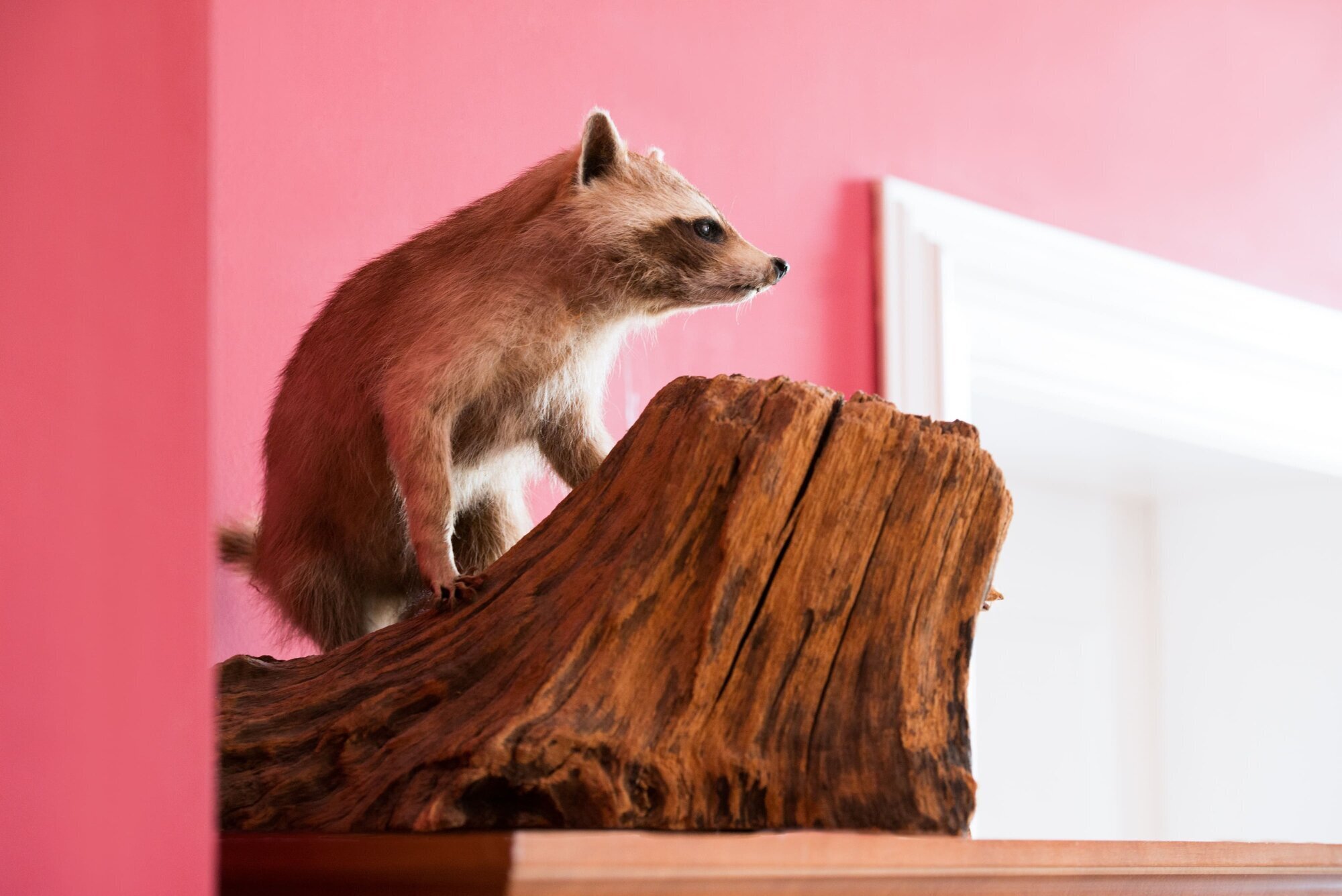 Jagdschule Schwiessel, Zum Park 25 in Prebberede