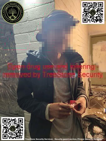 Images TreeStone Security Services