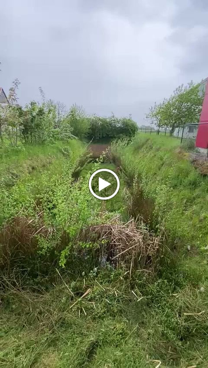 Fejzula Dienstleistungen, Bismarckstraße 1 in Lahr/Schwarzwald
