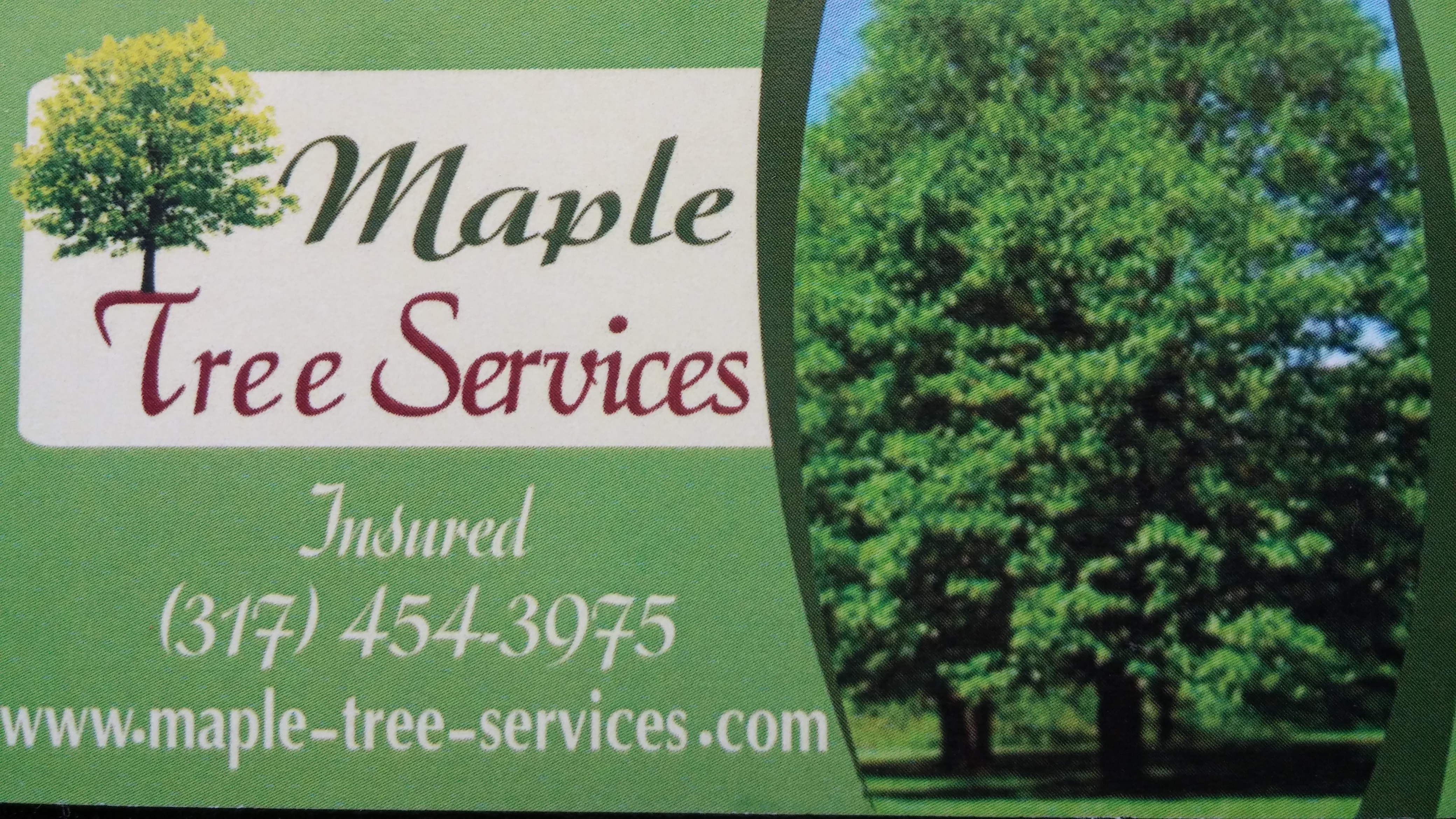 Maple Tree Service
