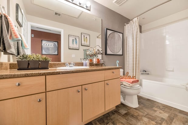 Images Montage at Pecos Ranch