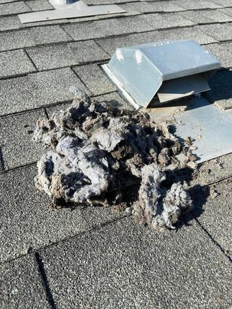 Images Lint Sweep Chimney & Dryer Vent Services