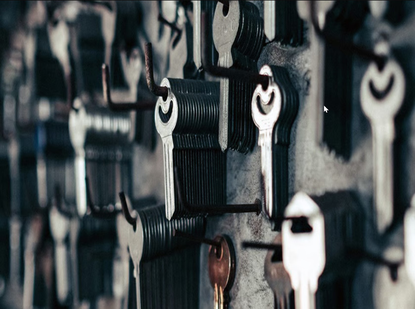 Gallery thumbnail