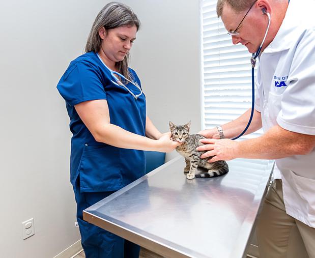 Images VCA Henderson Pass Animal Hospital