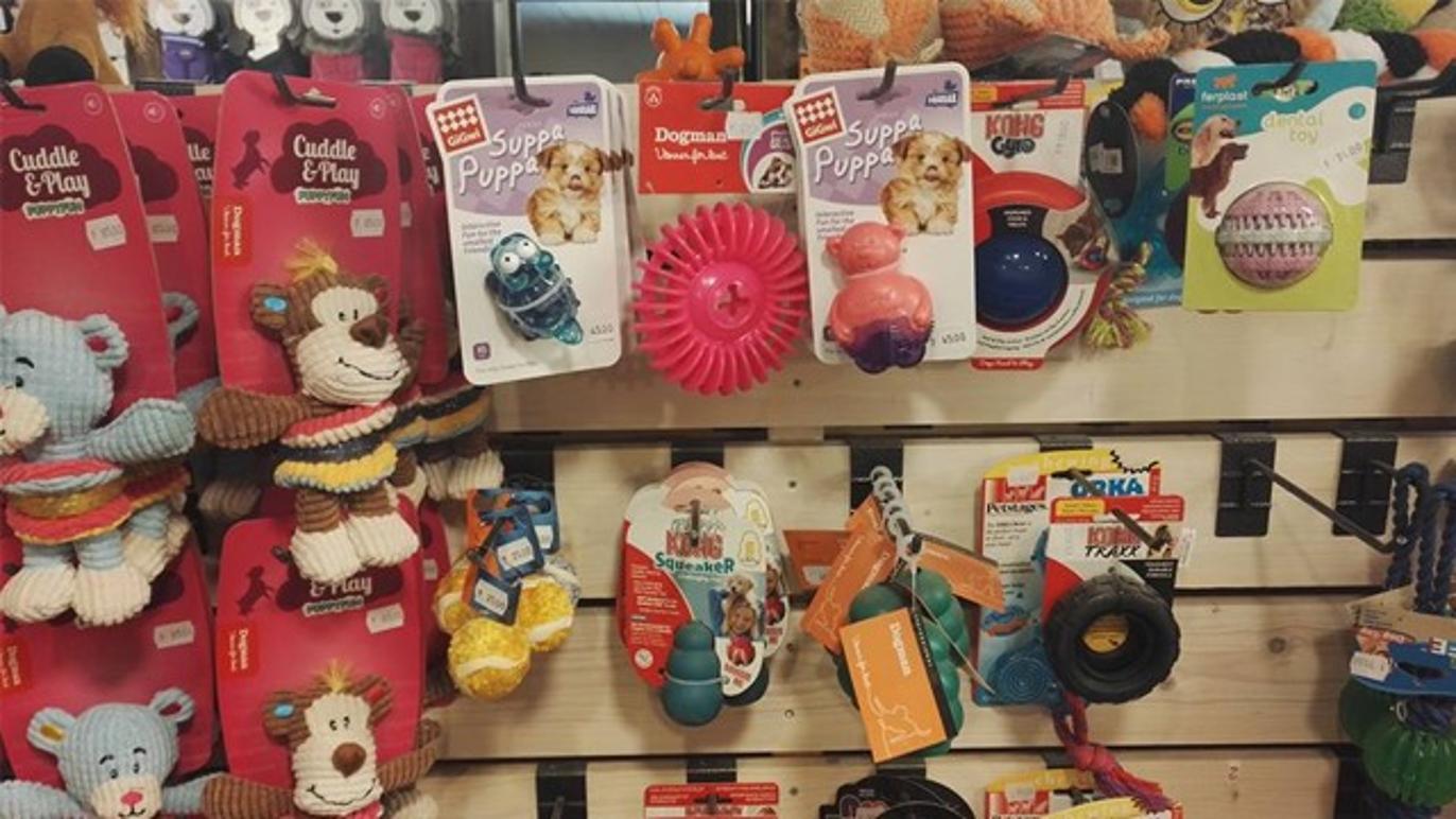 Images Ingvallstorp Häst och Fritid