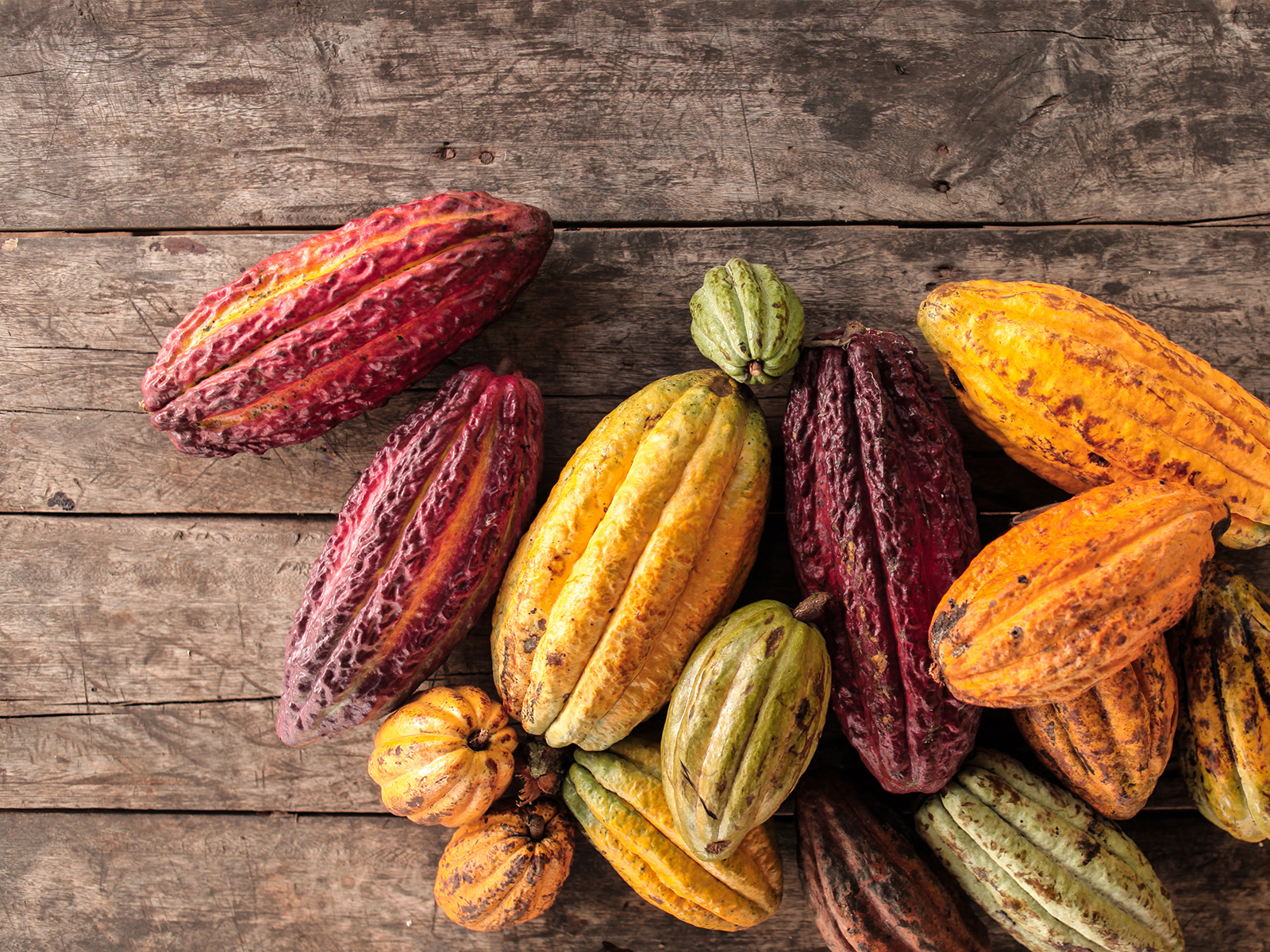 Maestrani Schweizer Schokoladen AG, Toggenburgerstrasse 41 in Flawil