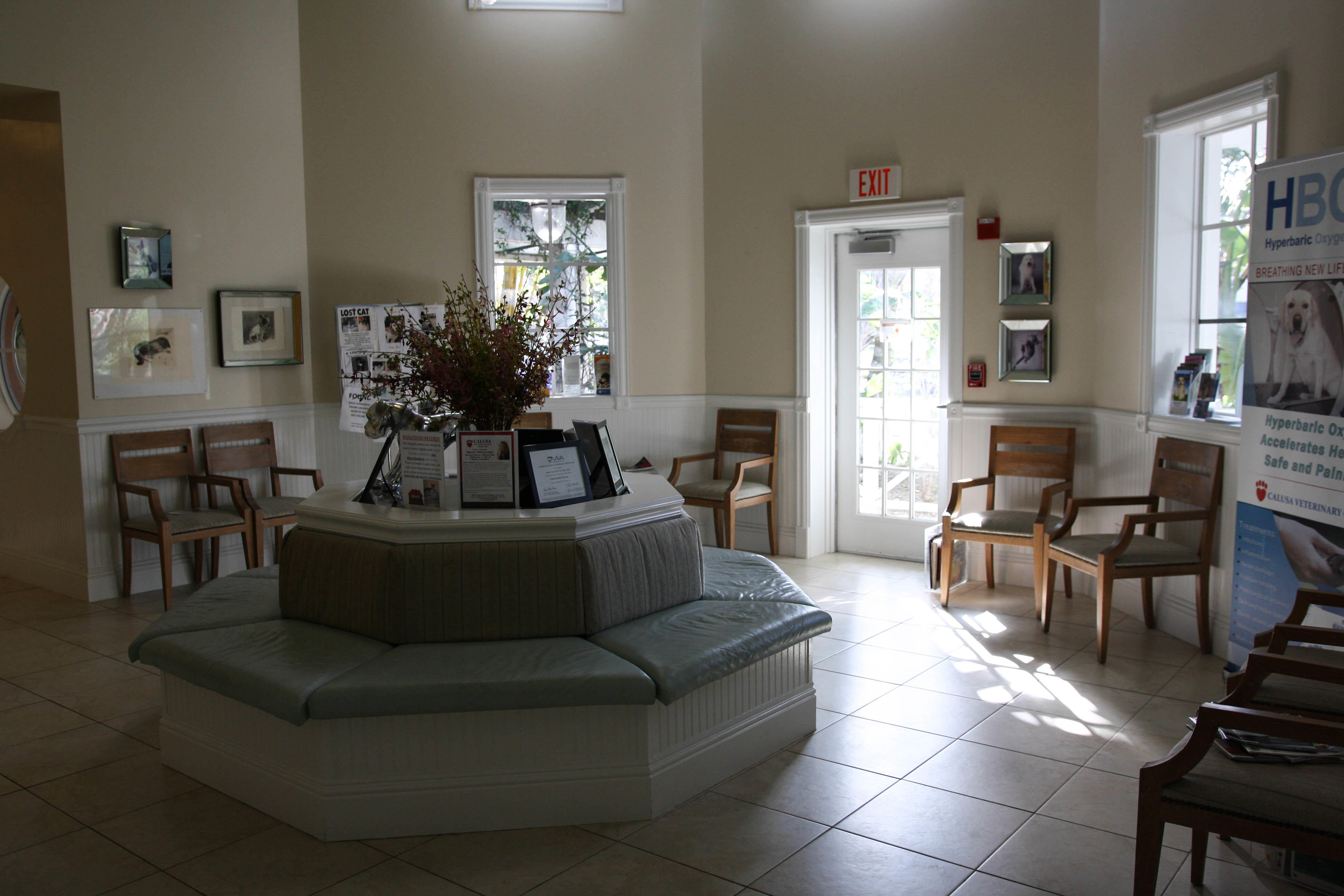 Our waiting area is bright, spacious, and comfortable. Calusa Veterinary Center Boca Raton (561)999-3000