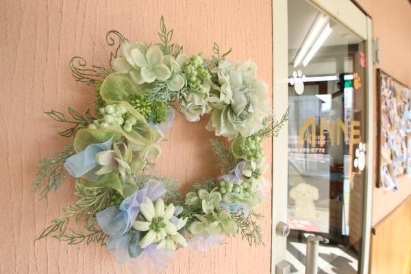 Images わんわんスタイルANNE