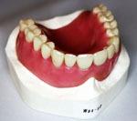 Images European Dental Design