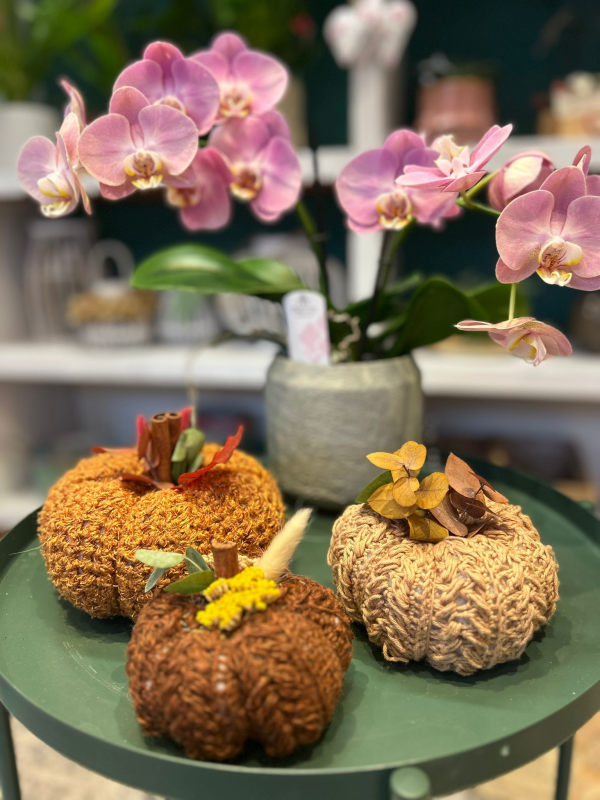 Images Fioreria  La Rosa Inglese