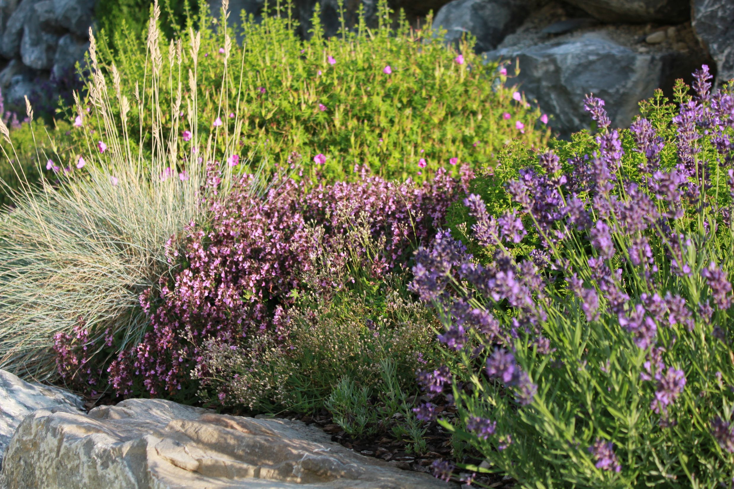 Bilder Artho Gärten AG