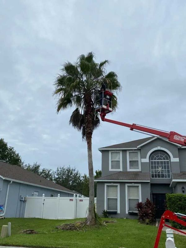 Valid Impressions Tree Service LLC Image
