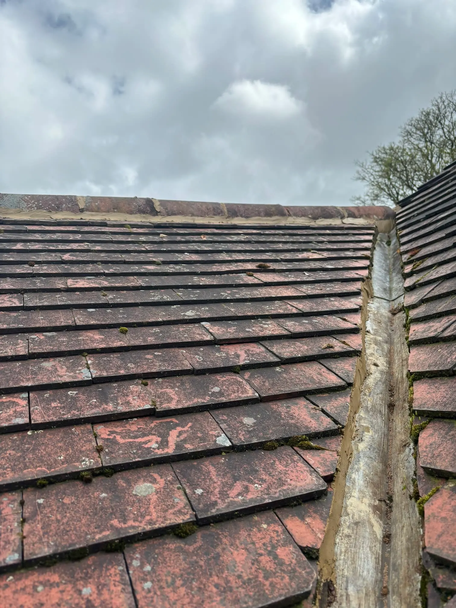 Images Dynamic Roofing and Building Ltd