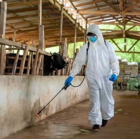 Spraytech Farm Painters 4