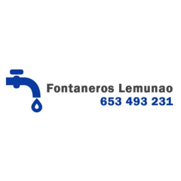 Fontaneros Lemunao Benahavís
