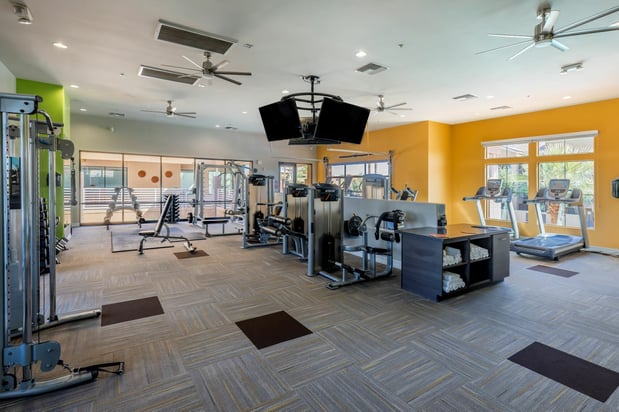 Images Liv Northgate