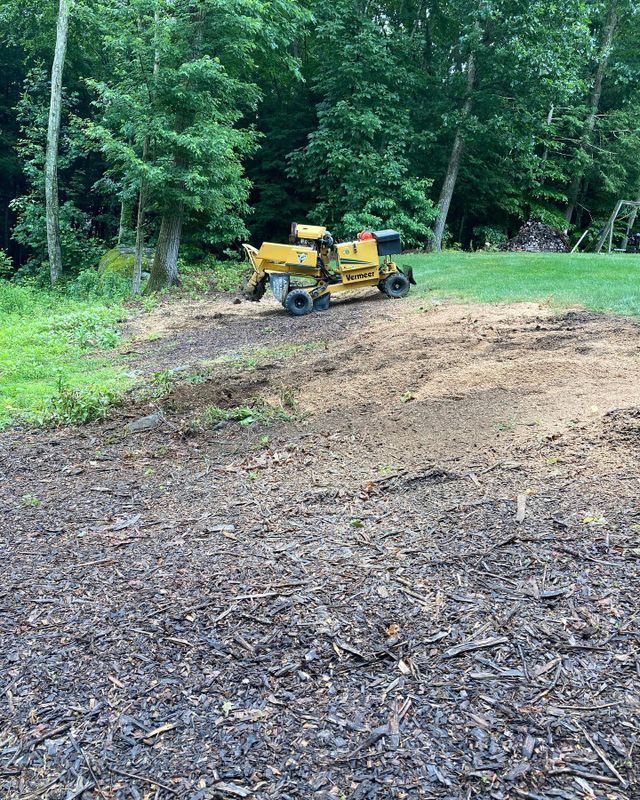 Images Precision Stump Grinding