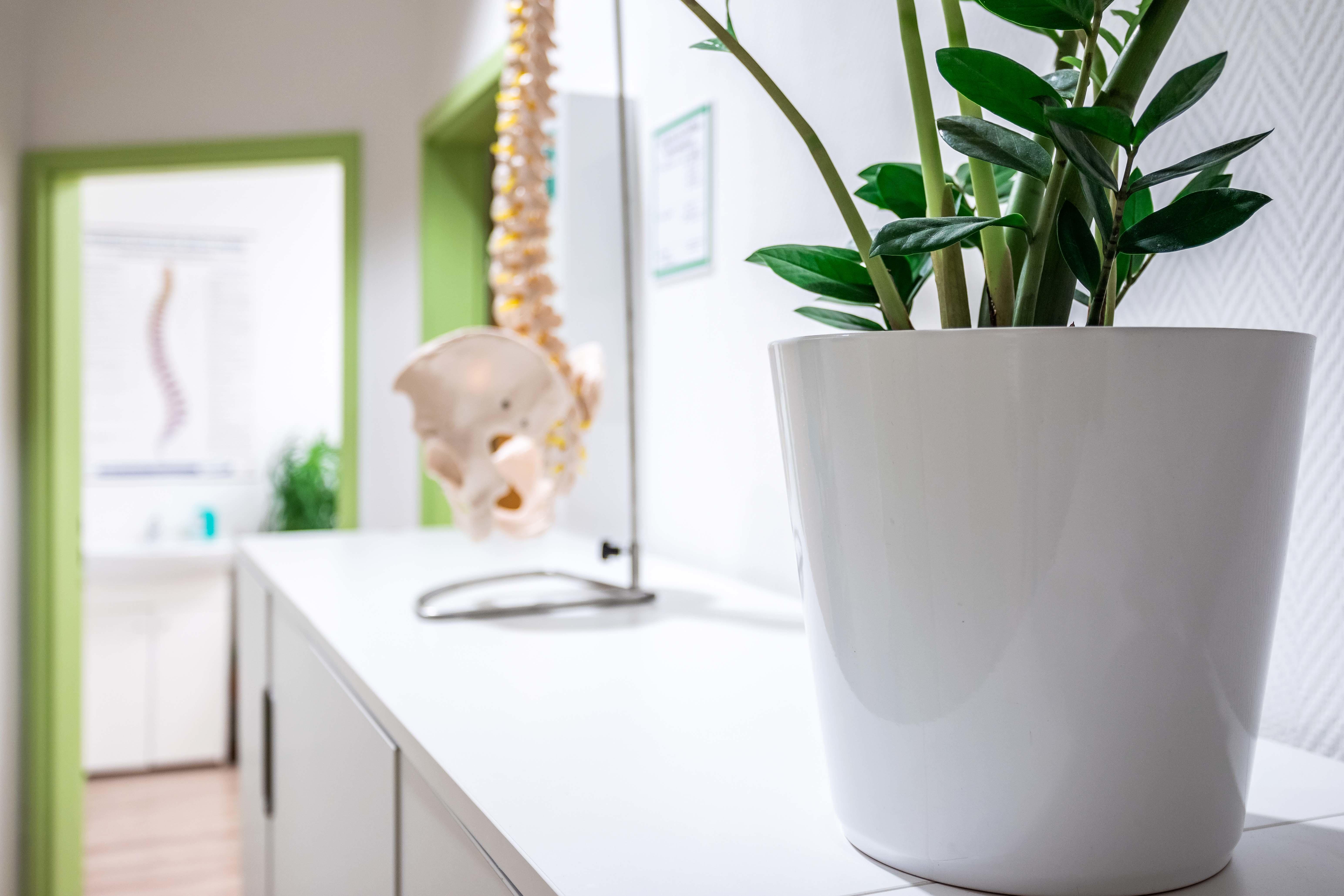 Gökce, Olpener Straße 526 in Köln