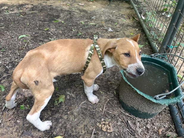 Images Ray Poole - State Farm Insurance Agent