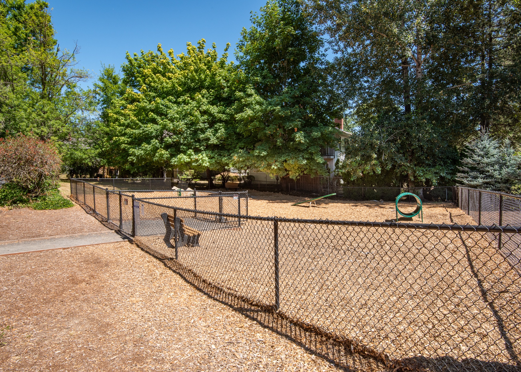 Dog Park 