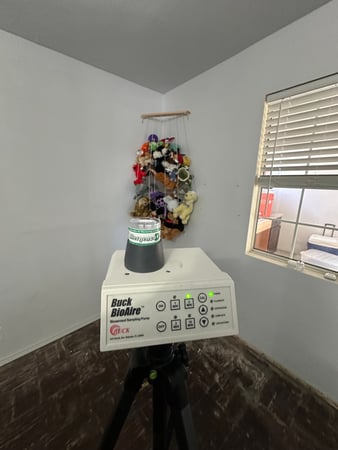 Images 24H Mold Inspection of Harbor City