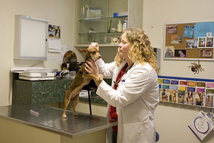 VCA Los Altos Animal Hospital Long Beach (562)452-0011