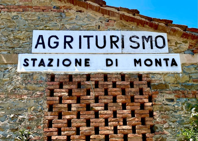 Images Agriturismo Ristorante Stazione di Monta