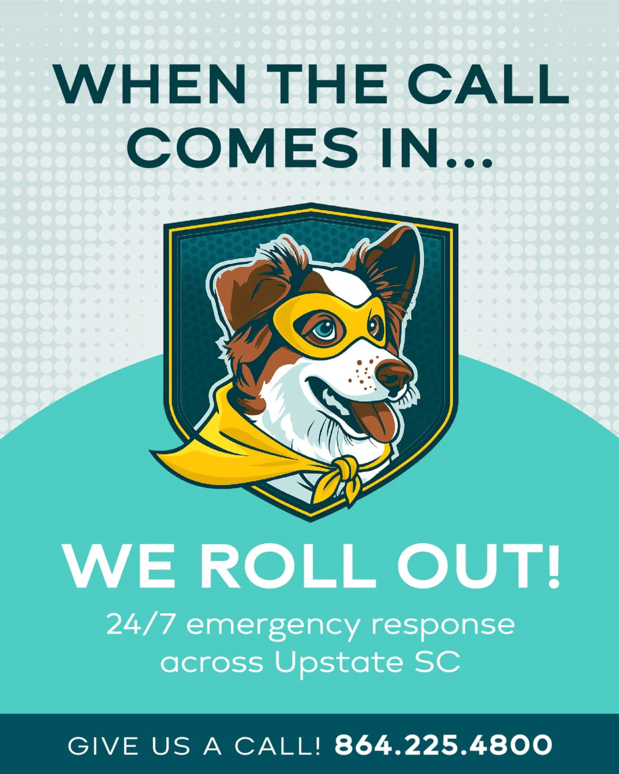 Images Premier Restoration