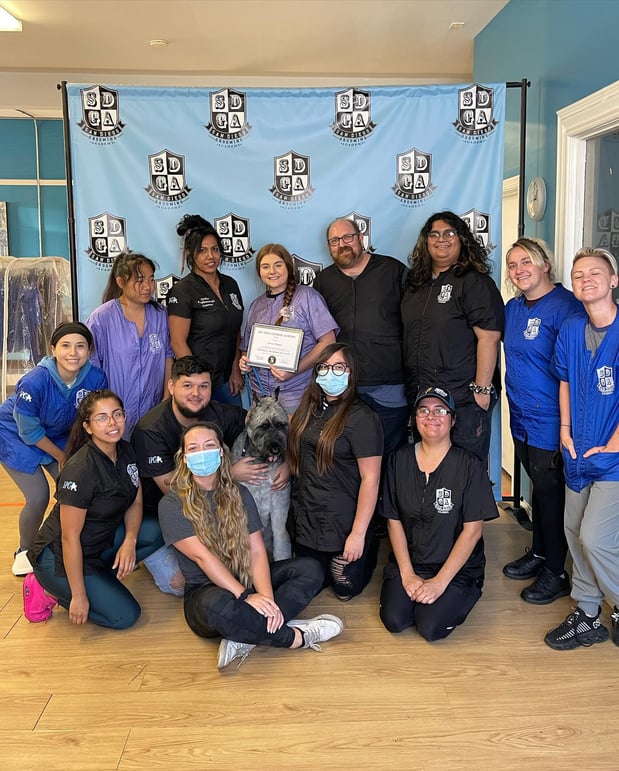 Images San Diego Grooming Academy