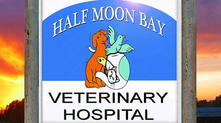 VCA Half Moon Bay Animal Hospital