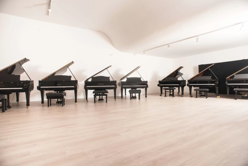 Images Piano e Forte - Vendita Noleggio Pianoforti