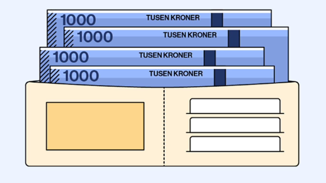 Images Et-Regnskap Torild Reinemo