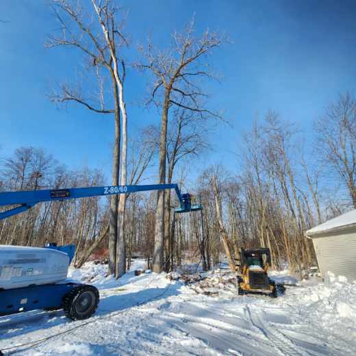 Milks Tree Service Inc Image