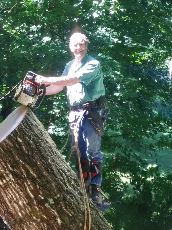 Images Smiths Tree Service